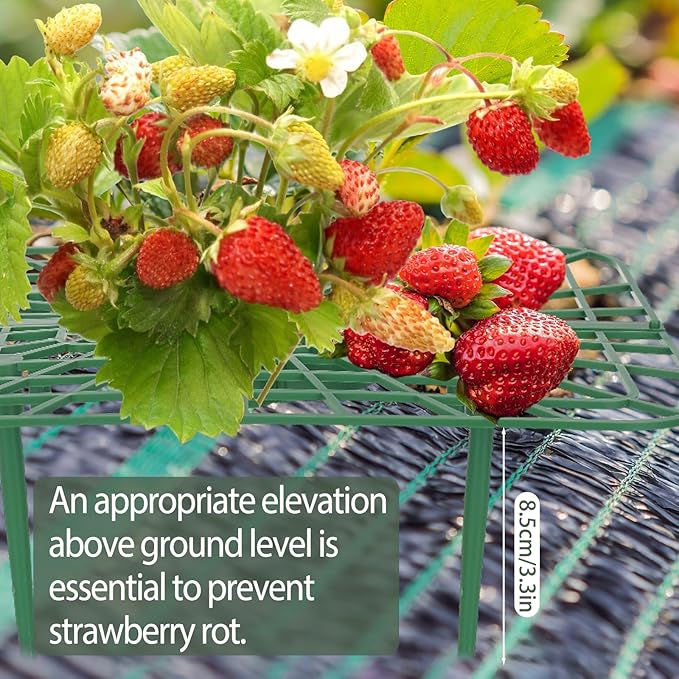4 Sets Strawberry Plant Support - Image 6