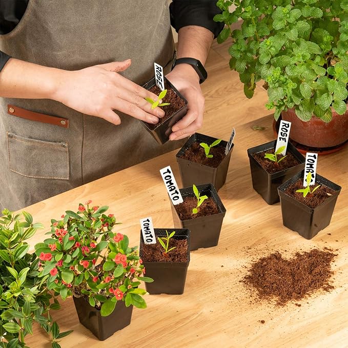 June Fox Square Nursery Pots 3.3 Inches Flexible Plastic Seedling Pots Square - Image 7