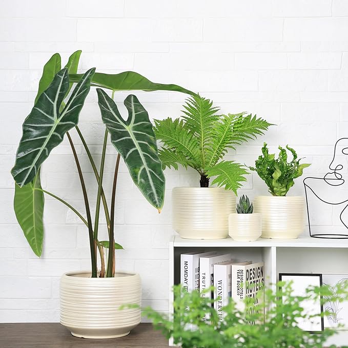 10 Inch Ceramic Plant Pot with Drainage – Large Flower Pot - Image 6