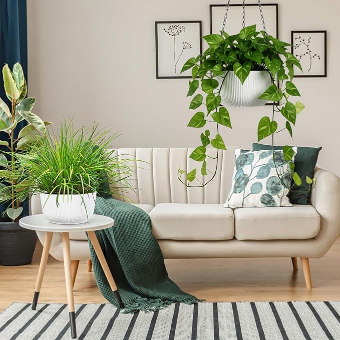 10 Inch Hanging Planters for Outdoor Indoor Plants - Image 4