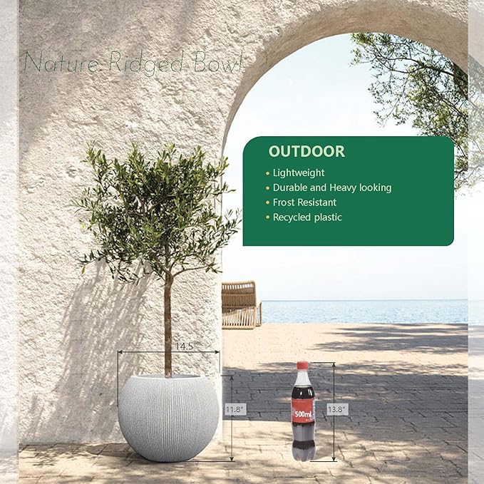11.8" H X 14.5" D Round Plastic Planter - Image 5