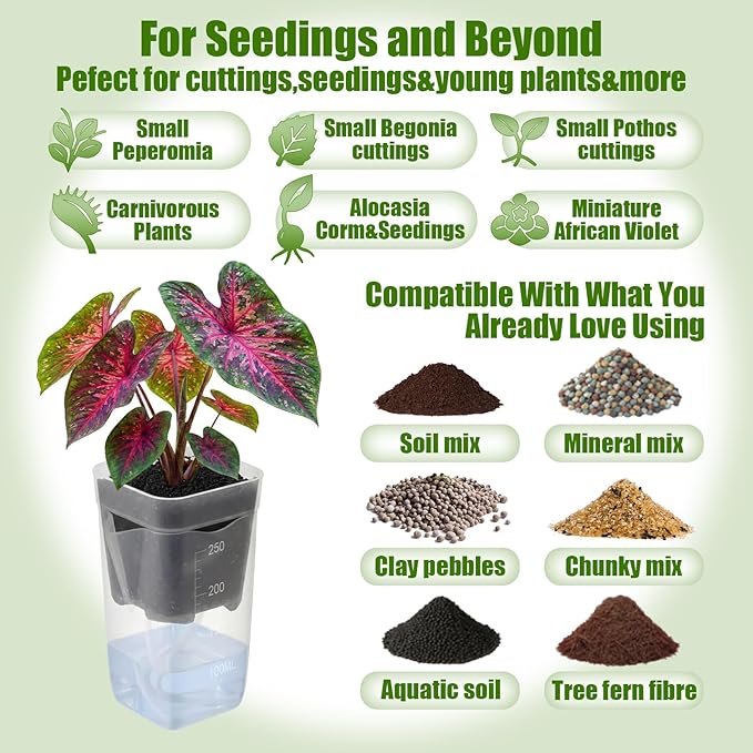 LemonRoad 20 Pack 2.5" Small Self Watering Pots - Image 5