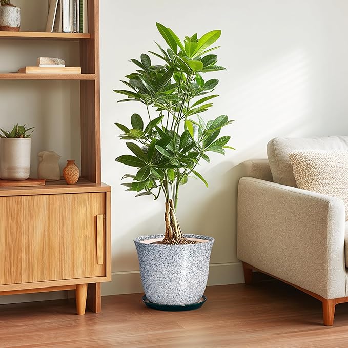 Ceramic Planter - Image 4