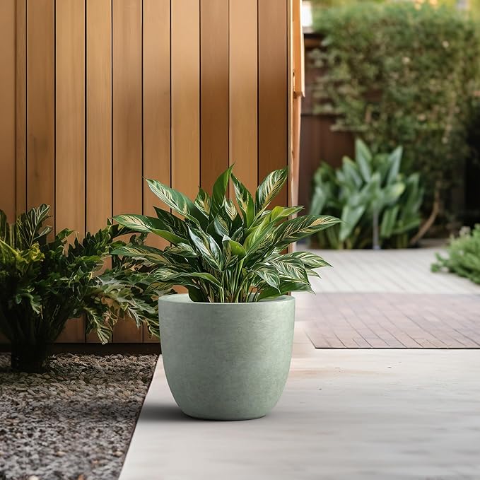 Kante 14 Inch Dia Round Concrete Planter, Indoor Outdoor Large Plant Pot - Image 4