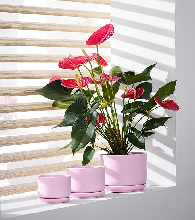 Ton Sin Pink Flower Pots, Ceramic Planter Pot - Image 4