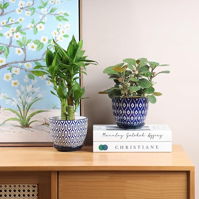 Selamica Ceramic Plant Pots, 4.6 Inch Flower Pots - Image 6