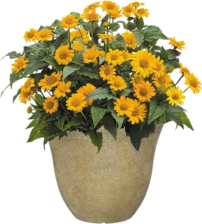 Classic Home and Garden Honeysuckle Resin Flower Pot Planter, Fossil Stone - Image 2