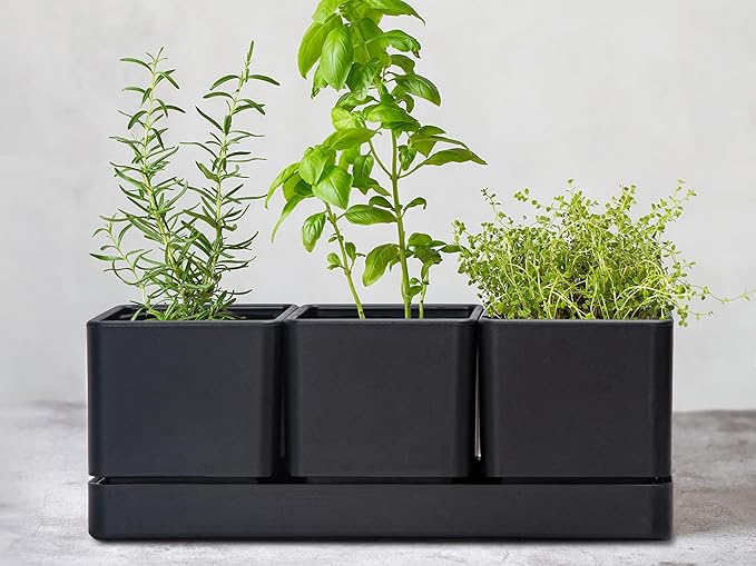 D'vine Dev Herb Garden Planter Set, Plastic Plant Pots - Image 2