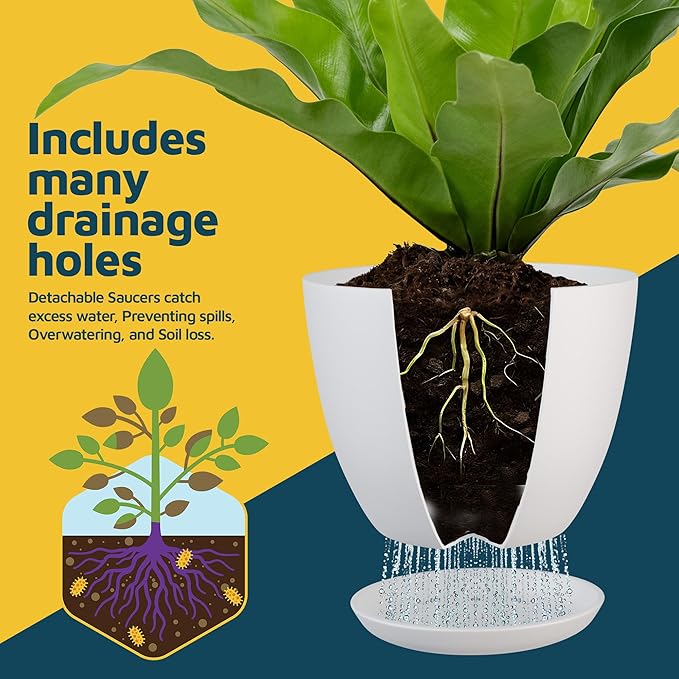 Lifemaster Eco Friendly Plant Pot Set - Image 6