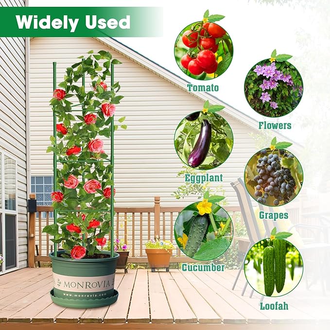 6 Pack Tomato Cages, 51.2in Tomato Plant Support Stakes Heavy-Duty, Garden - Image 7
