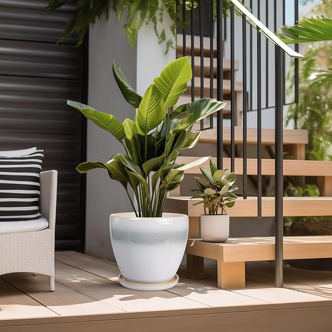 Ceramic Planter - Image 5