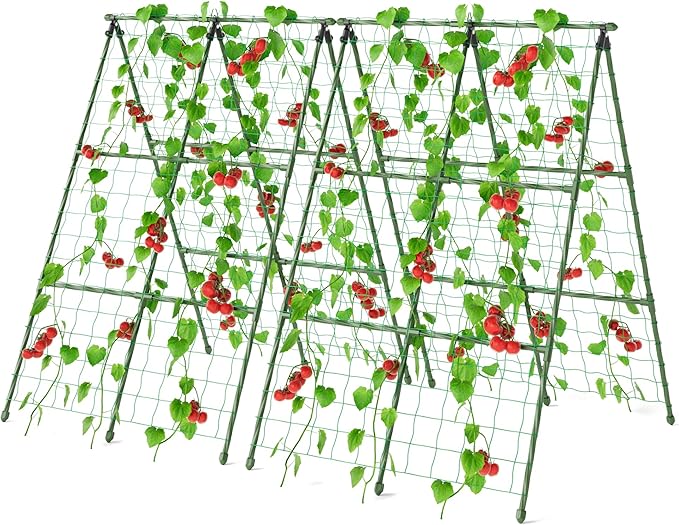 Miory Cucumber Trellis for Raised Beds, 2 Pack 32x48" A-Frame Garden Trellis by Miory