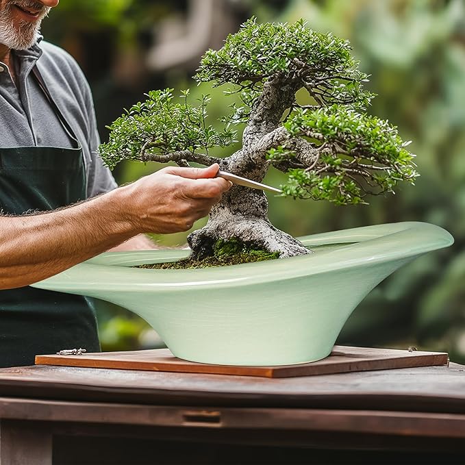 Ceramic Bonsai Pots - Image 4