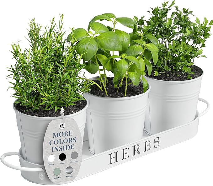 Barnyard Designs Indoor Herb Garden Planter Set by BarnyardDesigns