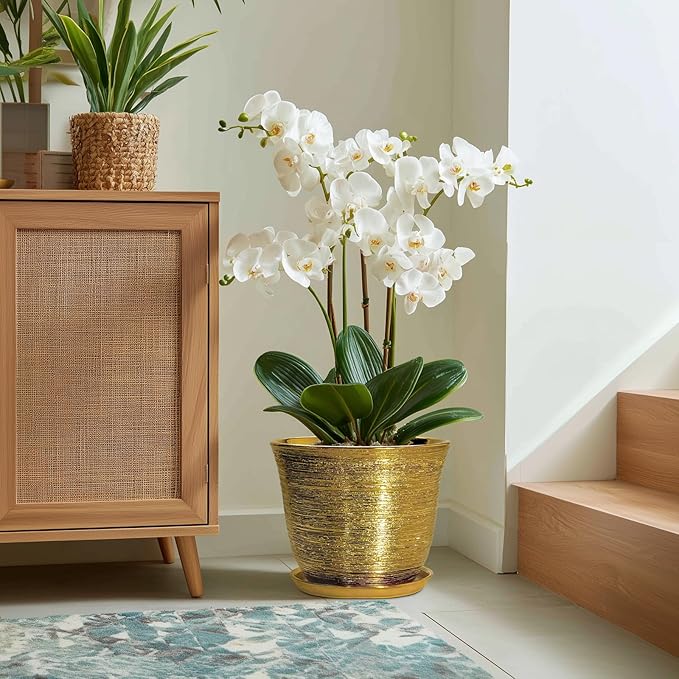 Ceramic Pots for Plants - Image 5