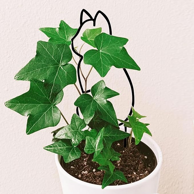 Cat-Shaped Small Trellis for Potted Plants, 13 inches Hoya Trellis 2 Pack - Image 7