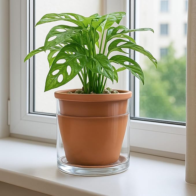 D'vine Dev 6 Inch Design Self Watering Pot - Image 6