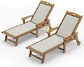 LUE BONA Chaise Lounge Chair Outdoor Set of 4, HDPS and HDPE Wicker Material by LUEBONA