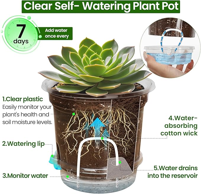 MIXC 12 Packs 5 Inch Self Watering Pots - Image 2