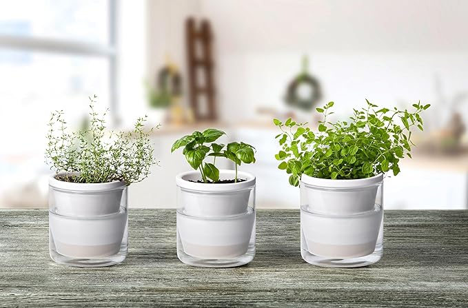 D'vine Dev 4 Inch Design Self Watering Planter - Image 2