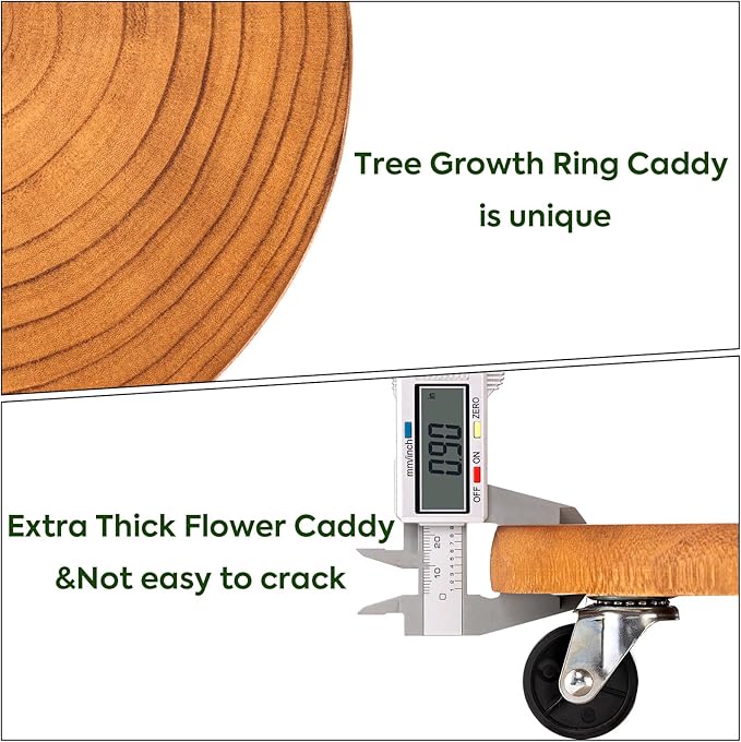 Yangbaga 2Pack 12inches Tree Plant Stand - Image 2