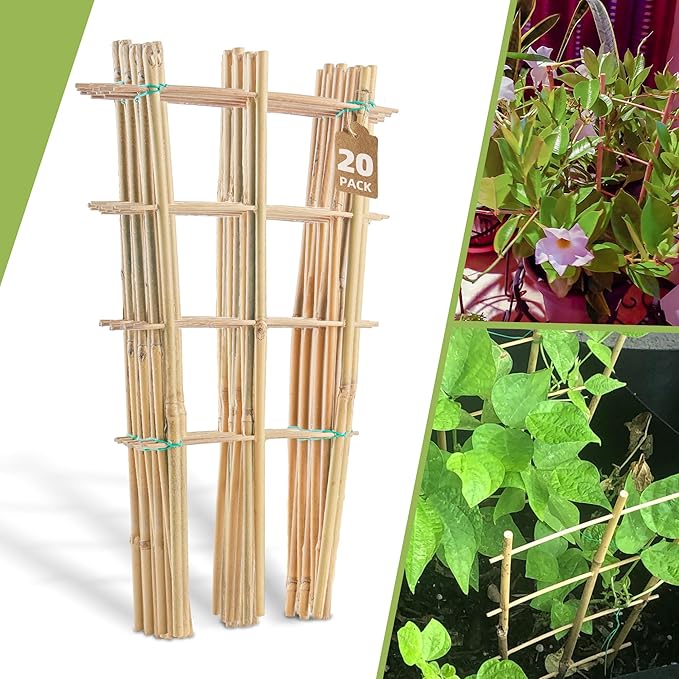 20 Pack 16" Bamboo Trellis for Climbing Plants-Natural Garden Ladder Fan by Biotolot