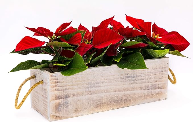 Wooden Planter Box with Handle I Rustic Whitewash I Plastic Liner l Garden - Image 8