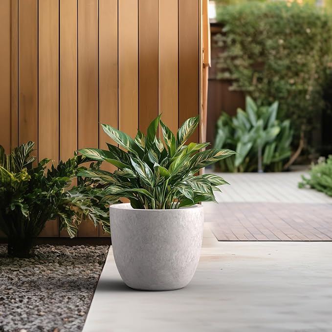 Kante 14 Inch Dia Round Concrete Planter, Indoor Outdoor Large Plant Pot - Image 4
