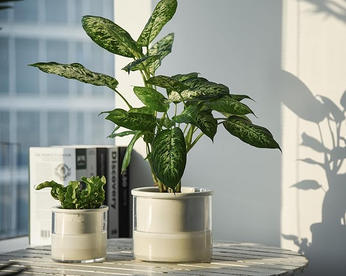 Phoenix Vine 6 Inch 4 Inch Self Watering Planter Pots, Design White Terracotta - Image 7