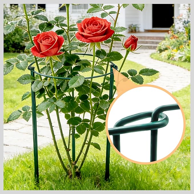 Garden Plant Support Cagess, High Heavy Duty Interlinked Half Round Peony - Image 7