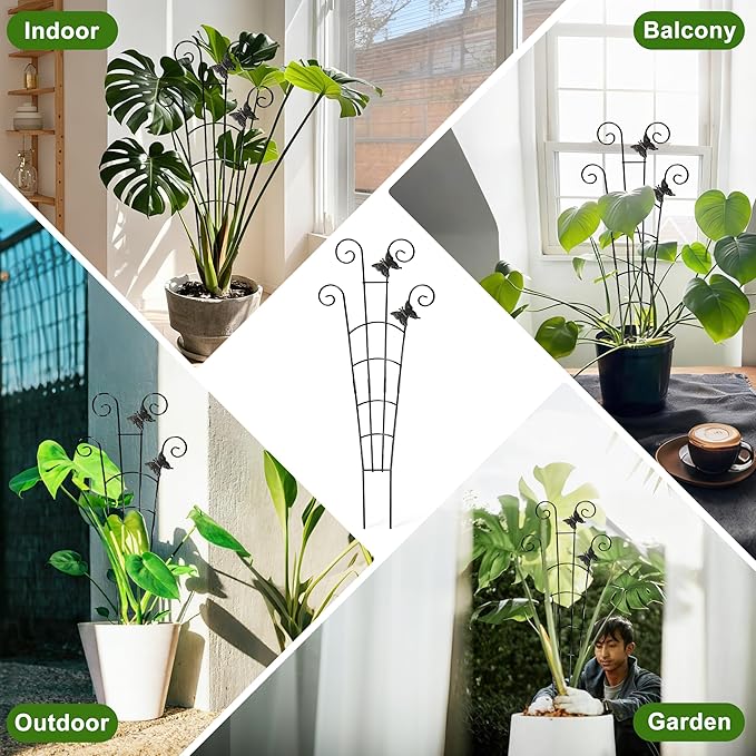 COOMIN 30'' Monstera Plant Support Outdoor, Metal Expandable Plant Supports - Image 6