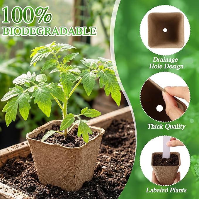 120 Pcs Square Peat Pots for Seedlings - Image 3