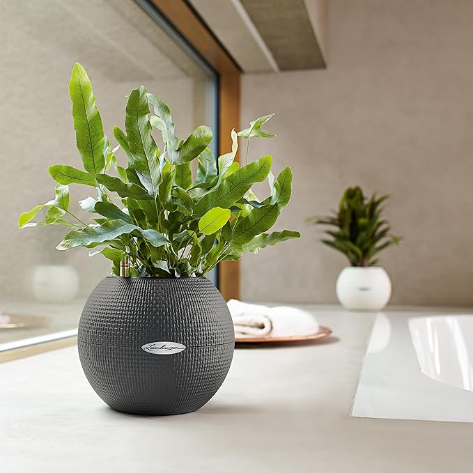 Lechuza Puro Color 20 Slate, Self-Watering Small Indoor Planter, D7.9 H6.3 in - Image 7