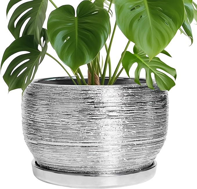 SQOWL Ceramic Pot for Plants by SQOWL
