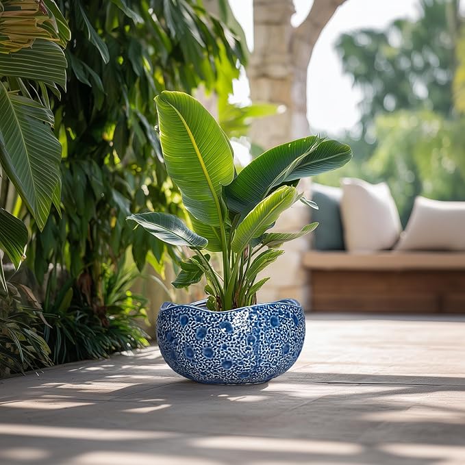 Bonsai Tree Pot - Image 4
