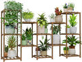 Bamworld Large Plant Shelf Outdoor Wood Plant Stand Large Rack by Bamworld