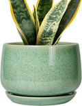 G EPGardening Ceramic Plant Pot by GEPGardening