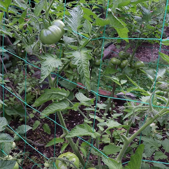 Trellis Netting for Climbing Plants - Image 5