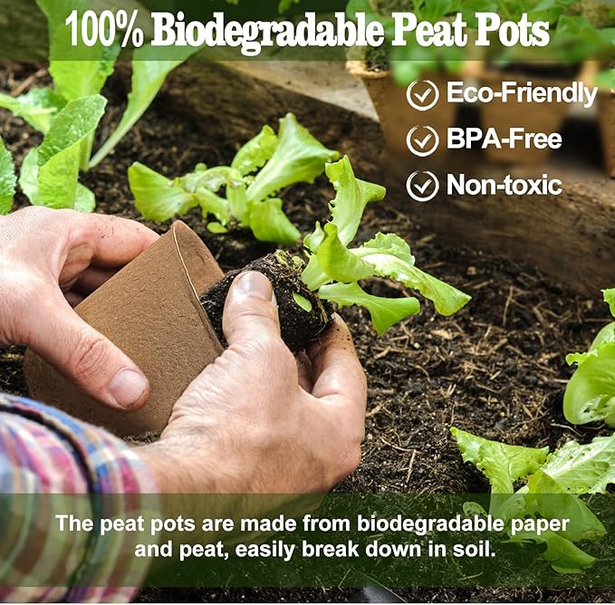 Biodegradable Peat Pots for Seedling - Image 3