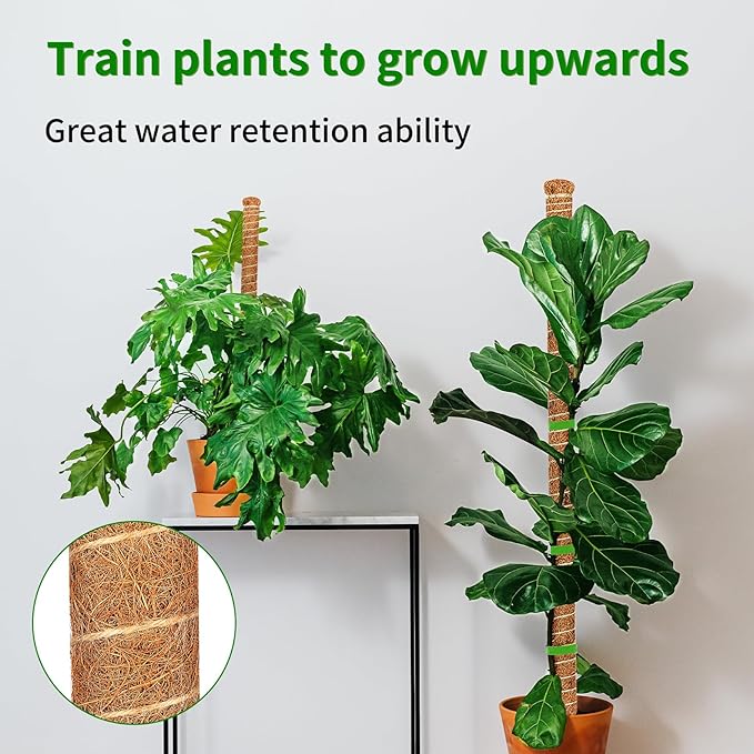 2 Pack 60 Inch Moss Pole Monstera Plant Support, Coir Moss Poles - Image 9