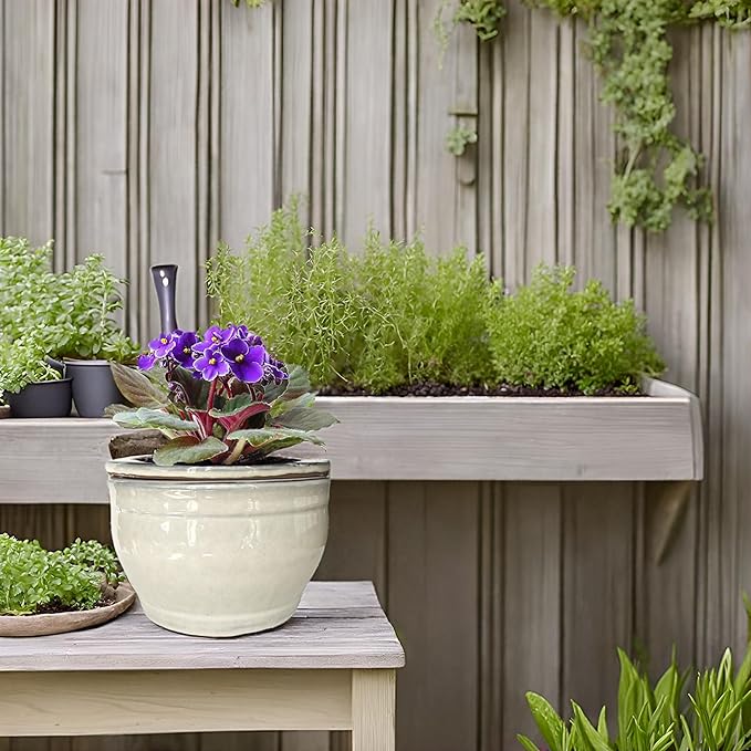 African Violet Pots Self Watering Round Ceramic Violet Pot - Image 5