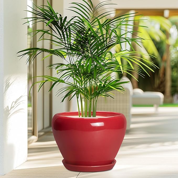 10 Inch Plant Pot - Image 4
