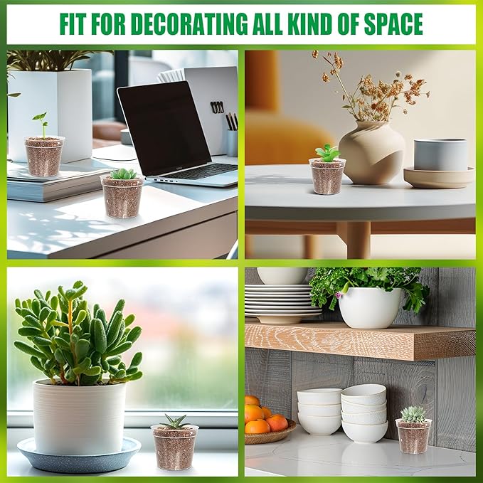 BTPLASTIK 50 Pack 2.5 Inch Clear Nursery Pots - Image 6