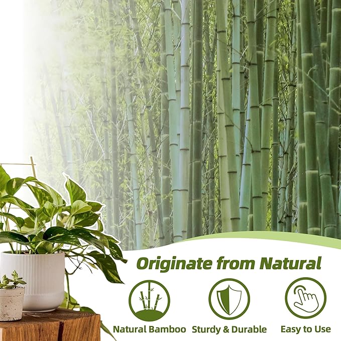 Avalution 5 Pack Bamboo Trellis - Image 3