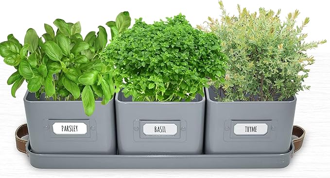 volila Herb Planter Indoor - Image 9