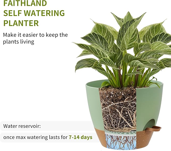 FaithLand 3-Pack Large Planter Pots, 12 10 9 Inch Self Watering Flower Pots - Image 4