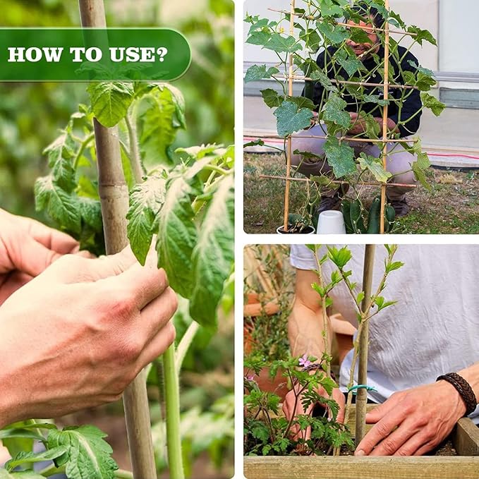 30pcs 3/10" D Thicker Heavy Duty Bamboo Stakes, 2FT Plant Stakes, Natural - Image 6