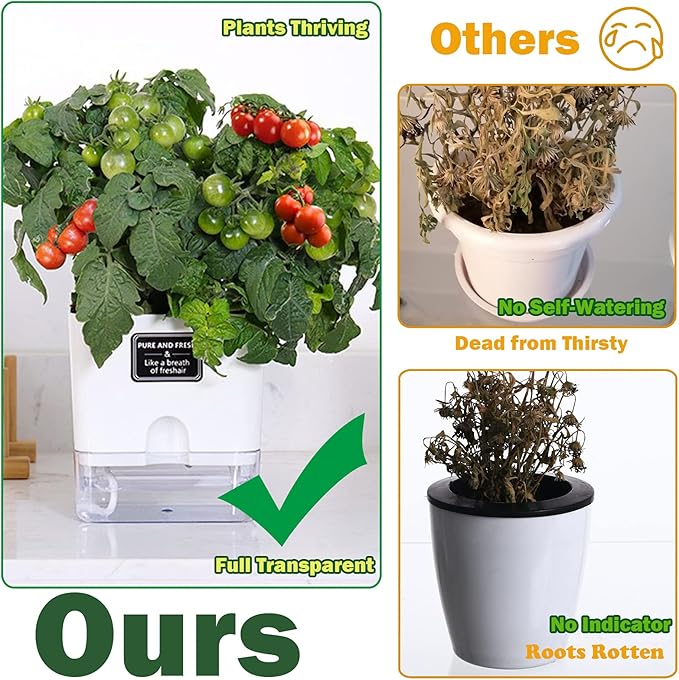 Planterhoma 6 Pack-5.5 Inch Self Watering Plant Pots - Image 2