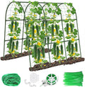 U-Shape Cucumber Trellis for Raised Bed by Eunice