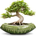 Bonsai Planter 18 Inch by Teagas